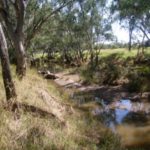 Almost dry waterhole